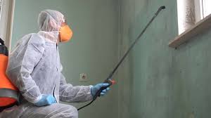 Best Black Mold Removal  in Shasta Lake, CA